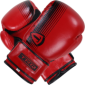 Adult Boxing Gloves